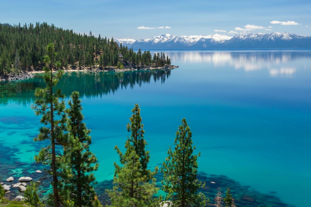 Lake Tahoe turquoise waters with pine trees